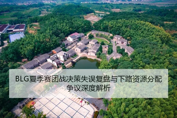 BLG夏季赛团战决策失误复盘与下路资源分配争议深度解析